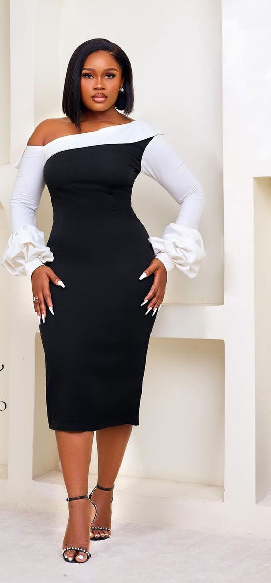 Missy Black & White Long Puffed Sleeve